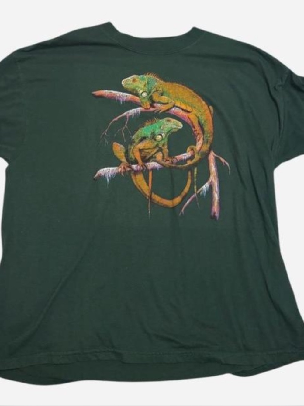 Jerzees Dark Green Tee with Colorful Iguana Artwork